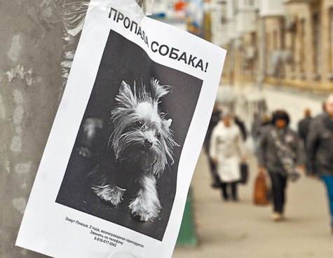 фото: Михаил Ковалев