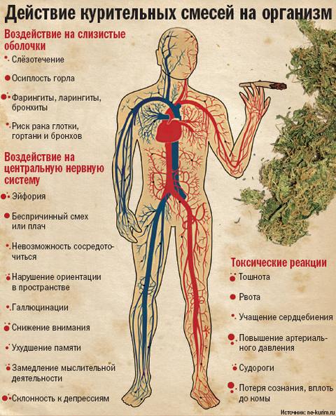Действие на организм