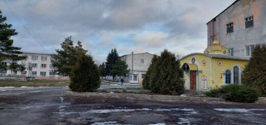Звіт за результатами моніторингового візиту до Покровської виправної колонії №17