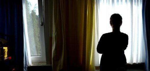 Как в Германии защищают жертв домашнего насилия