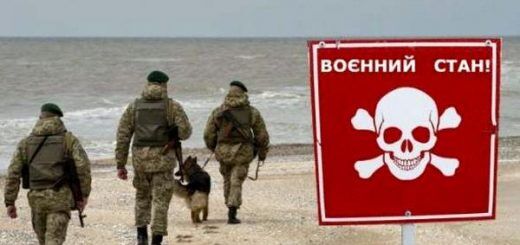 Новая реальность