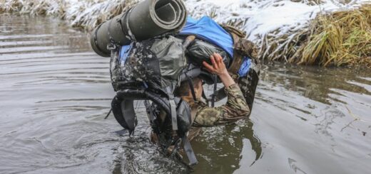 Збройні Сили України. Головні досягнення і втрати року