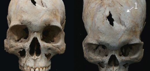Tomomi Nakagawa et al. / Journal of Archaeological Science, 2021
